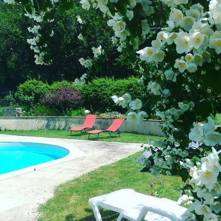 Piscine avec arbre en fleurs
