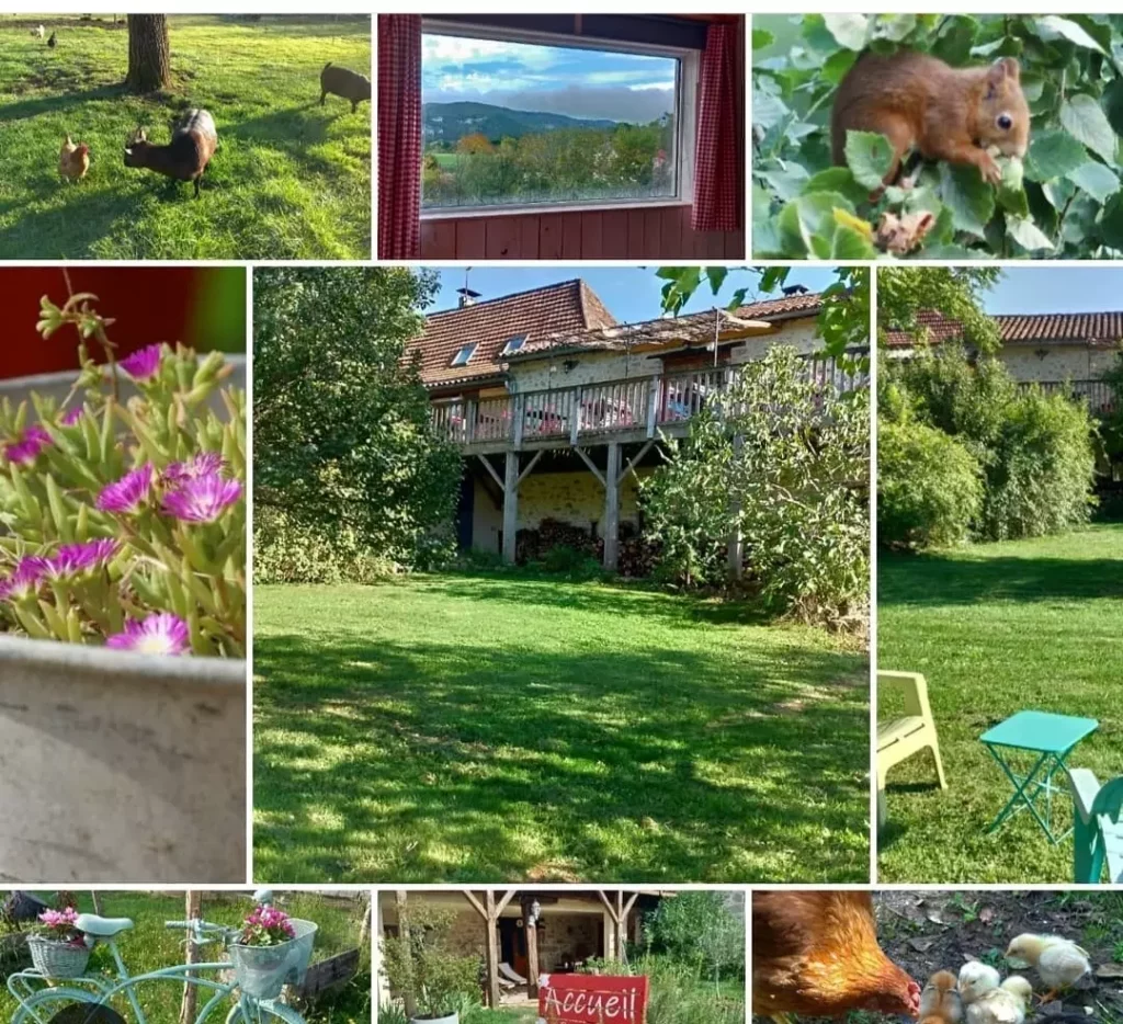 Maison d'hôtes à vendre dans le Lot - Saint-Cirq Lapopie