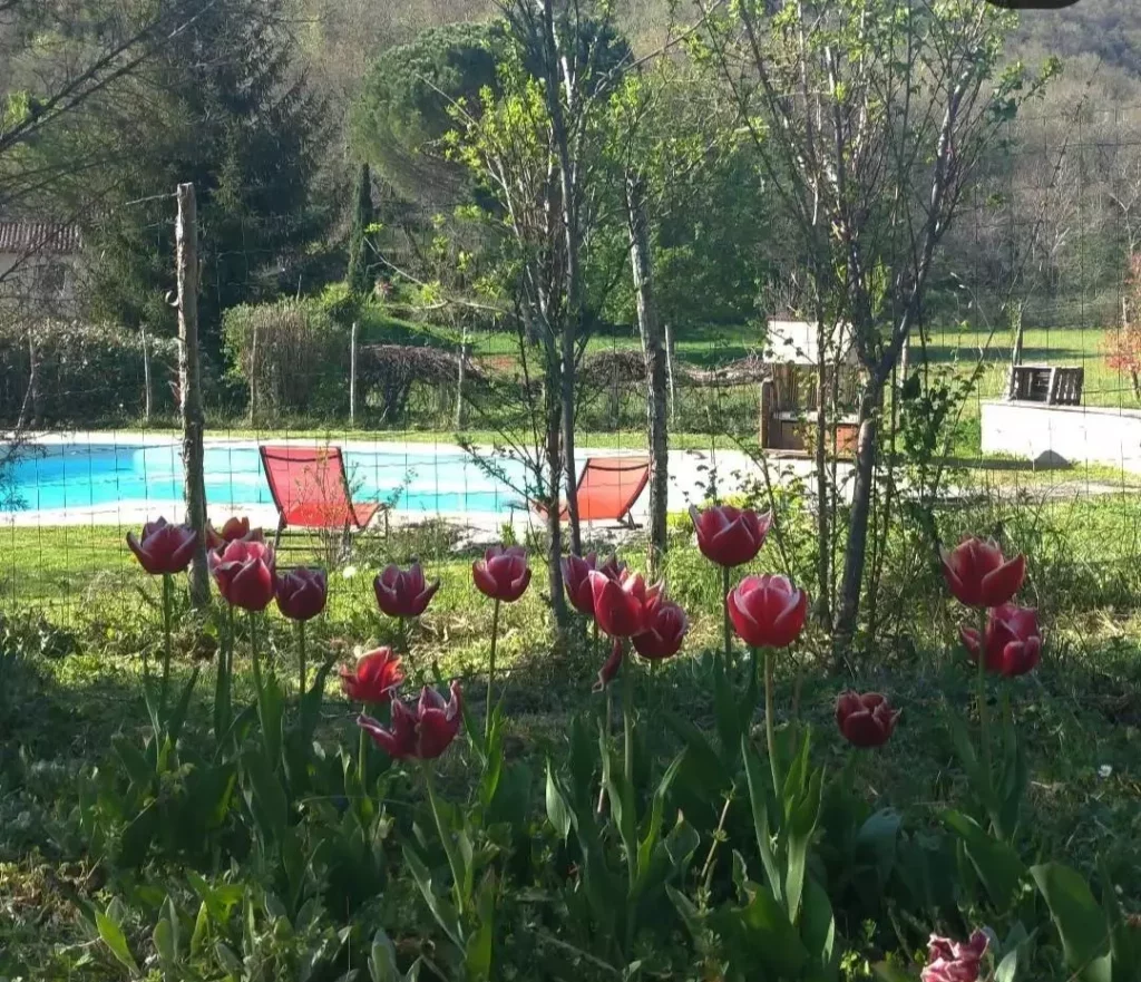 Maison d'hôtes à vendre dans le Lot - Saint-Cirq Lapopie